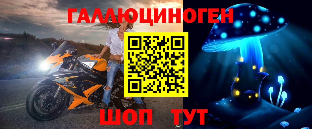 Галлюциногенные грибы Psilocybine cubensis Жигулёвск