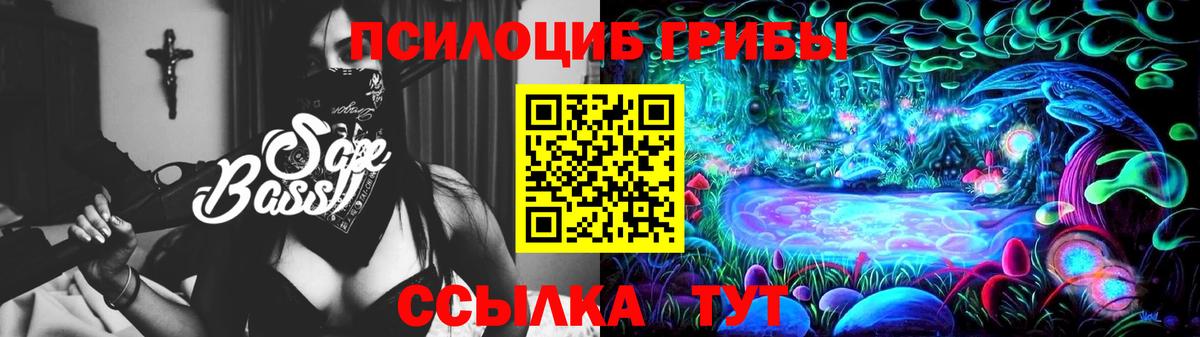 Галлюциногенные грибы Psilocybine cubensis  Вход с VPN  Жигулёвск 
